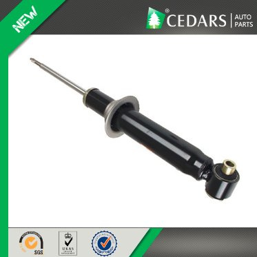 10 Years Experience Wholesaler Shock Absorber for BMW
