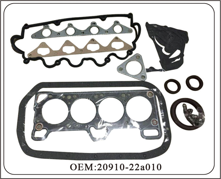 European and American Series Gasket Kit