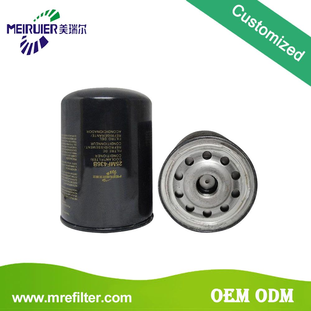 Cooling System Fuel Filter for Mack Series 25mf436b