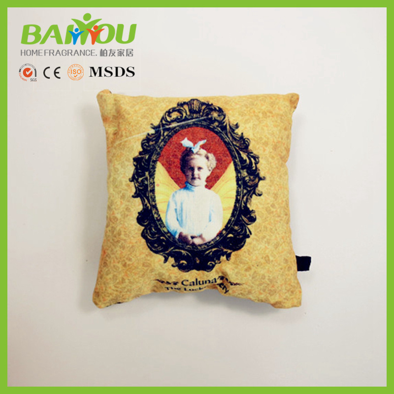 Aroma Scented Cushion