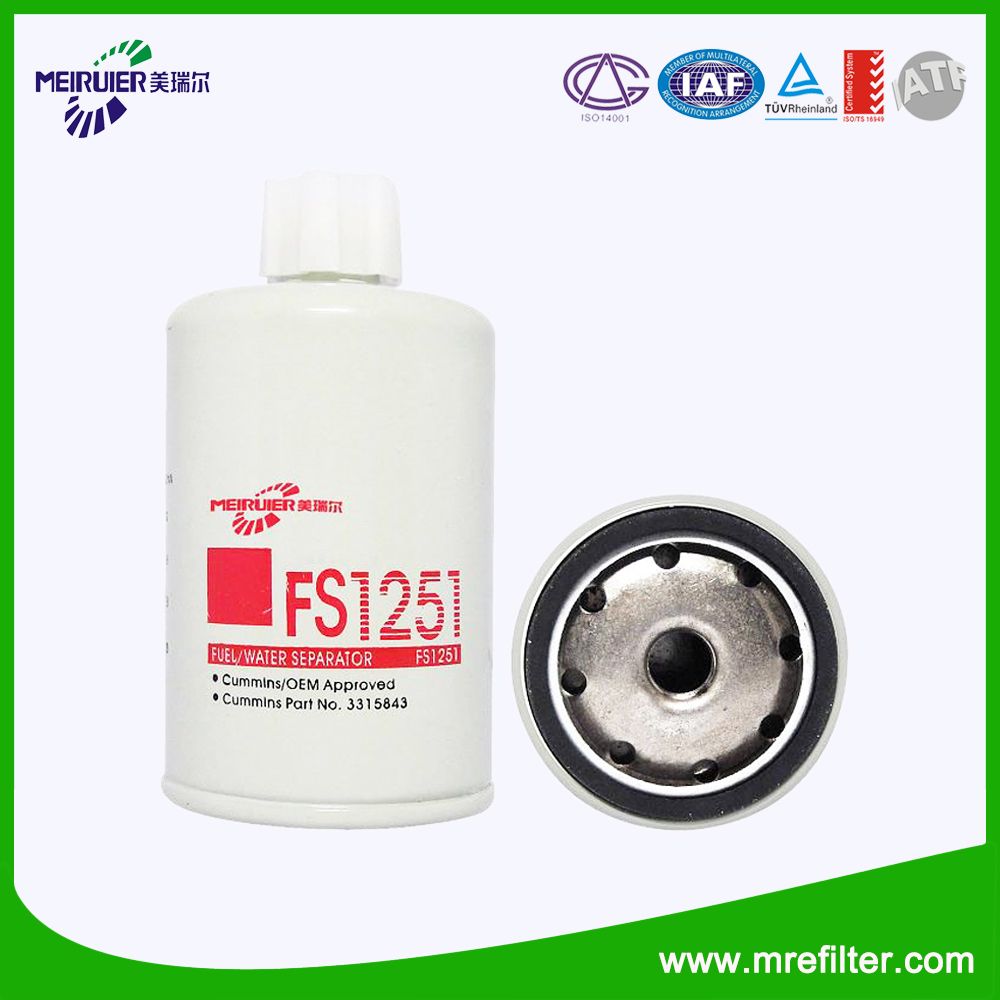 OEM Qulaity Fuel Filter Fs1251 for Daf Engine