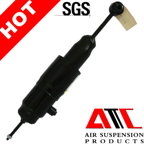 Factory Offer Lincoln Navigator Expedition Front Shock Absorber for Ford