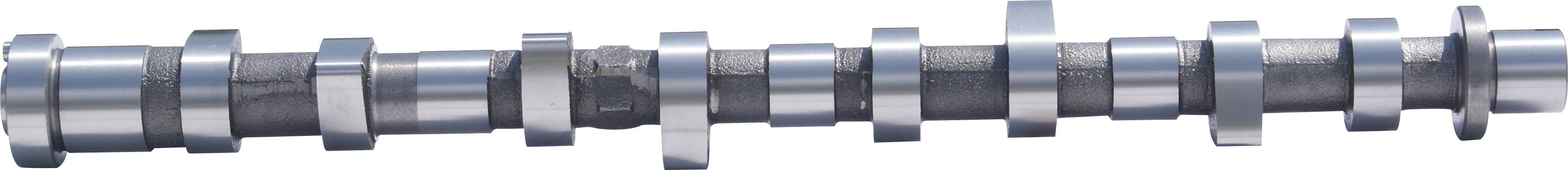Auto Camshaft for Nissan YD25 INT 13020-AS202