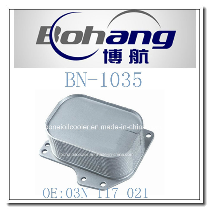 Bonai Auto Spare Parts VW Phaeton 6.0L 2004-2006oil Cooler/Radiatot (03N 117 021)