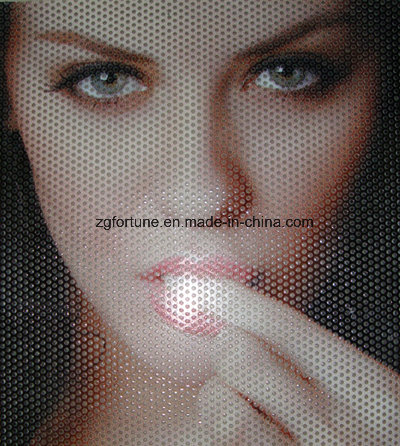 Eco-Solvent/Solvent One Way Vision Window Film