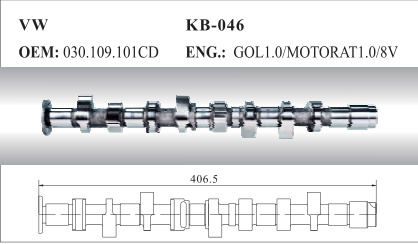 Auto Camshaft for VW (030.109.101CD)