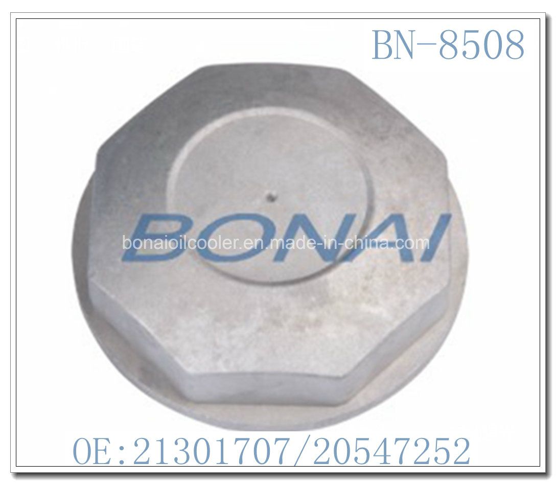 Auto Spare Parts Wheel Hub Cap/Bearing for Volvo (21301707/20547252)
