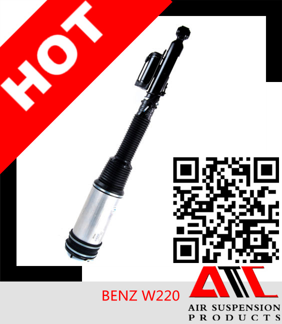 Hot Sales Air Spring Shock Absorber for Benz W220 (Rear)