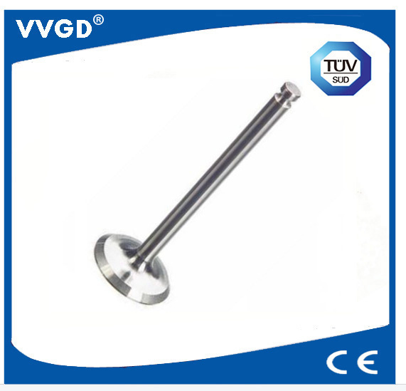 Auto Exhaust Valve for VW 027109601c