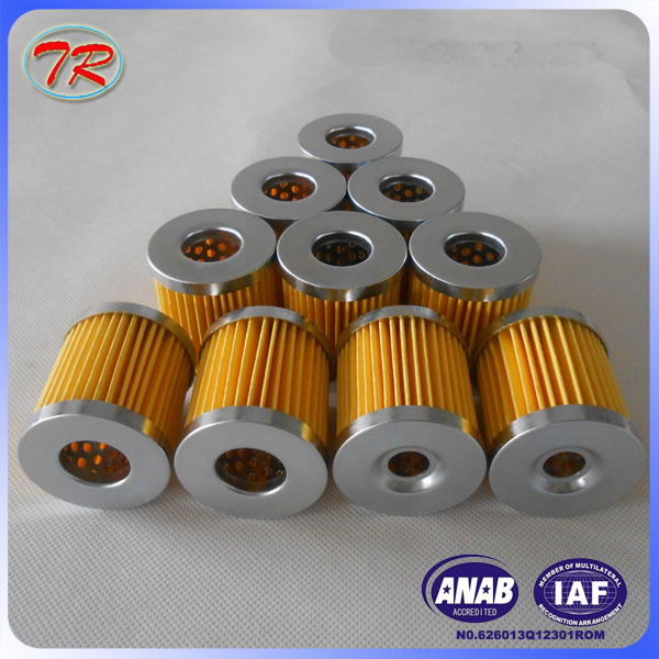 Custom Diesel Engine Fuel Filter Cartridge in China
