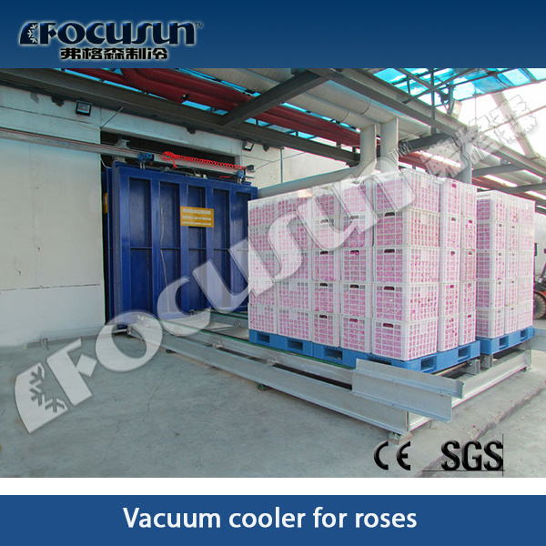 Vacuum Pre-Cooling Machine