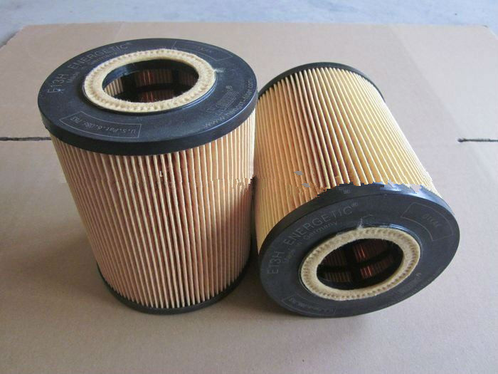 Oil Filter for Man E13HD47