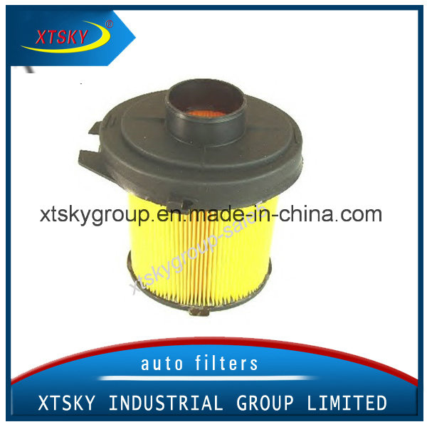 Good Quality Performance Air Filter (0013870900) Citroen
