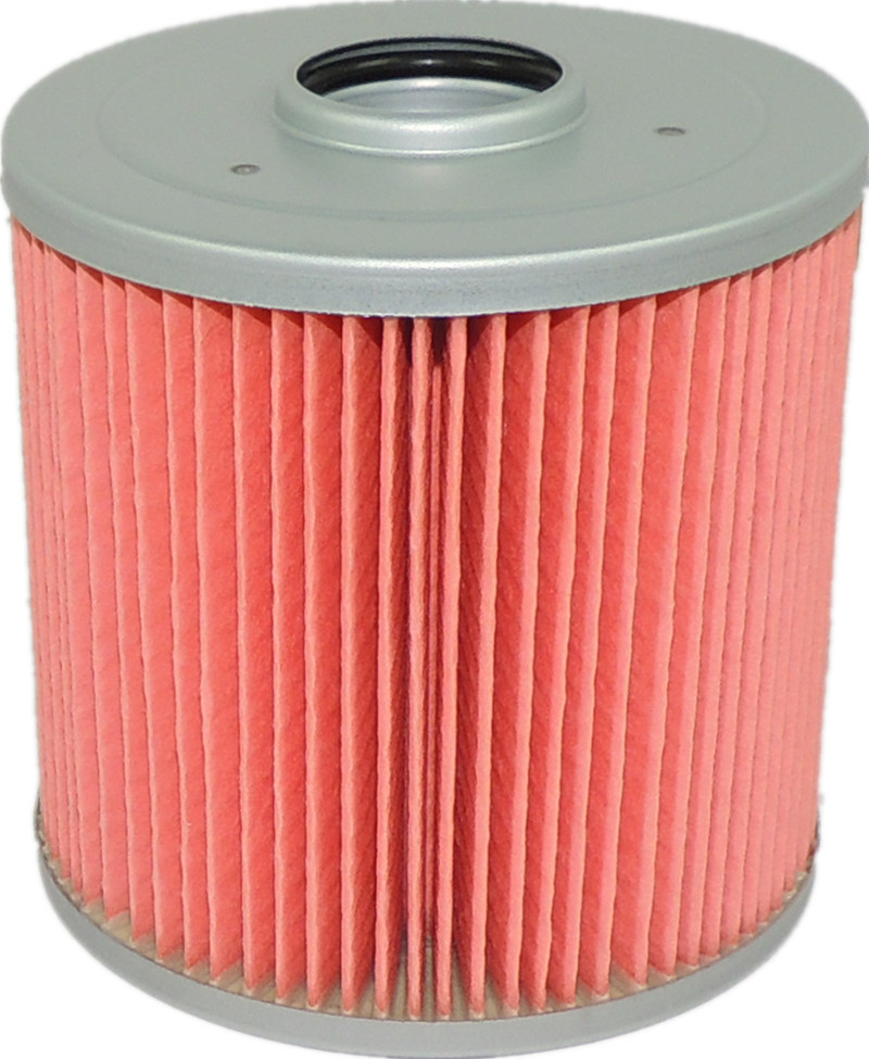 Fuel Filter Elemente for Isuzu Heavy Duty Truck 6SD1t 135