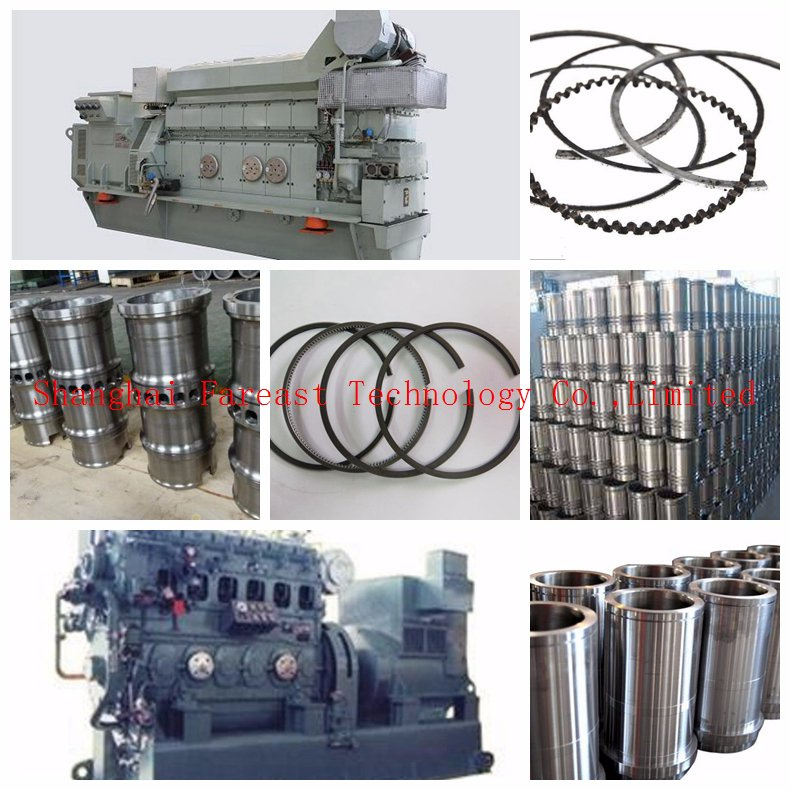 Man S46mc S46me S50mc S50me Engine Parts Piston Ring