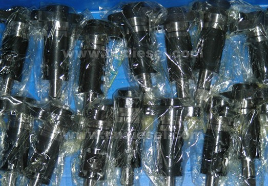 Diesel Engine Fuel Pump Plunger, Element