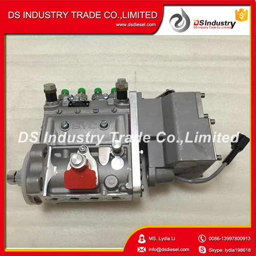 Qsb4.5 4bt3.9 Fuel Injection Pump for Cummins 5262669