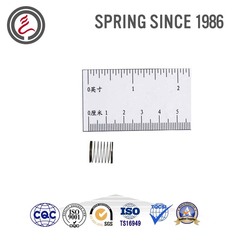 Small Diameter Springs for Water Valves