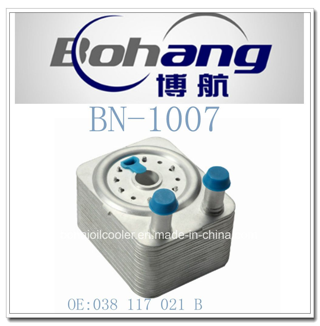 Bonai Auto Spare Parts A4/A6/S4/S5/Q5/Q7/Passat/Golf Oil Cooler/Radiator (038 117 021B)