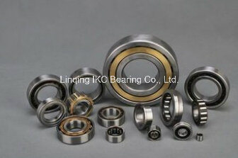 High Quality Bearing, Cylindrical Roller Bearing N226, Nu226, Nj226, N326, Nu326, Nj326, Nu2226, Nj2226, Nu2326, Nj2326, Nn3026