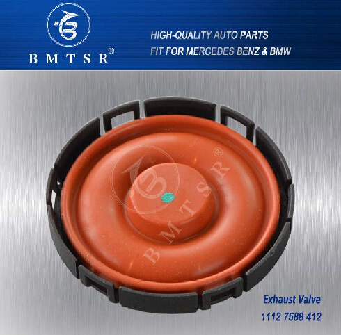 Exhaust Valve OE 11127588412