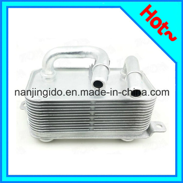 Auto Parts Car Oil Cooler for BMW E60 2003-2010 17217519213