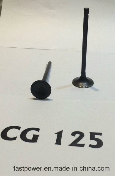 Motorcycle Intake/ Exhaust Valve Set for Cg125