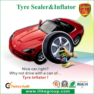 Auto Maintenance Tire Sealer and Inflator