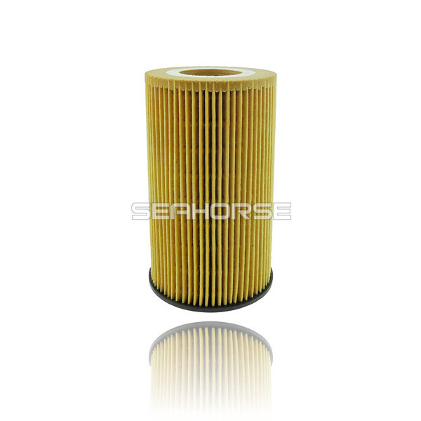 Professional Autoparts Supplier of Oil Filter for Vario Car 04252239
