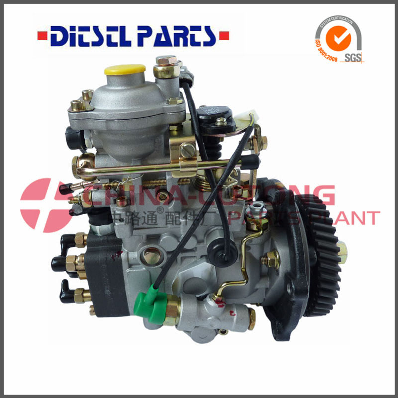 Fuel Injection Pump Nj-Ve4/11f1900L064 0001060064