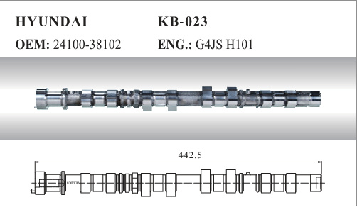 Auto Camshaft for Hyundai (24100-38102)