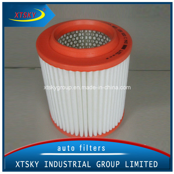 Xtsky Auto Part High Quality Auto Air Filter (OEM NO.: 4F0129620)