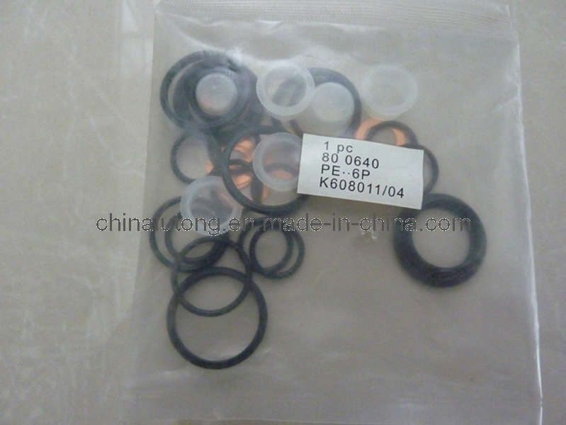 800640 Seal Repair Kits for Diesel Injection Pumps/Ve Pump