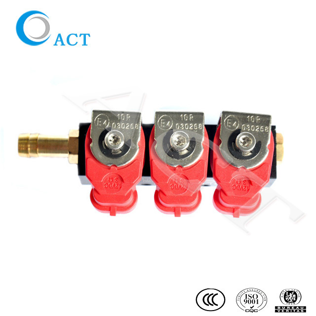 Act CNG 2ohm 3cylinder Injector Rail for Car