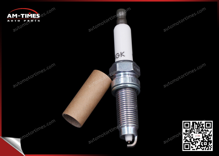 Trade Assurance OEM 101905622 Wholesale Engine Platinum Spark Plug