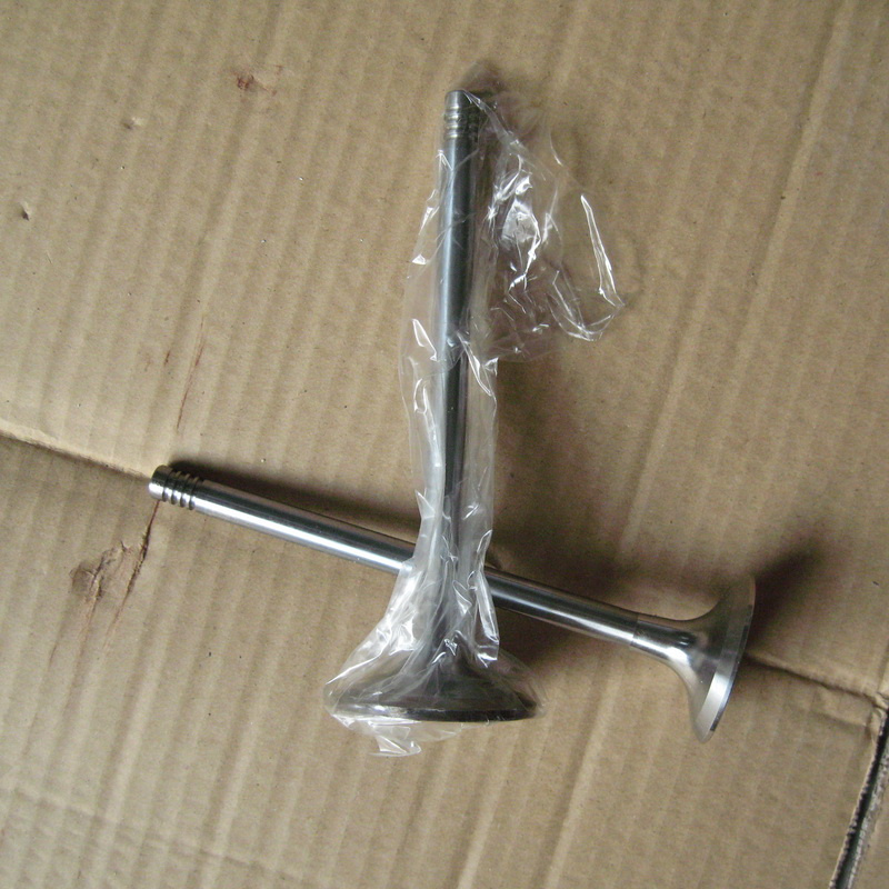 Engine Valve for Deutz FL513