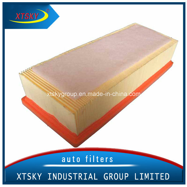 Xtsky Auto Part High Quality Auto Air Filter (OEM NO.: 8K0133843E)