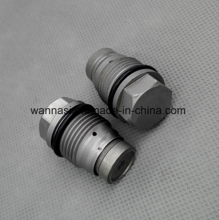 1110 010 017 Common Rail Bosch Limiting Pressure Valve for Diesel Injection System