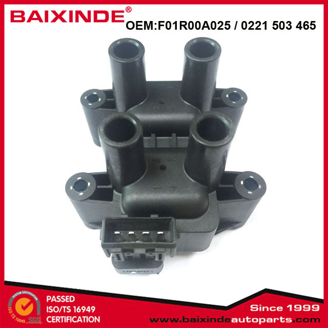 F01R00A025 Ignition Coil for PEUGEOT CITROEN FIAT LANCIA 0221503465 Ignition Module