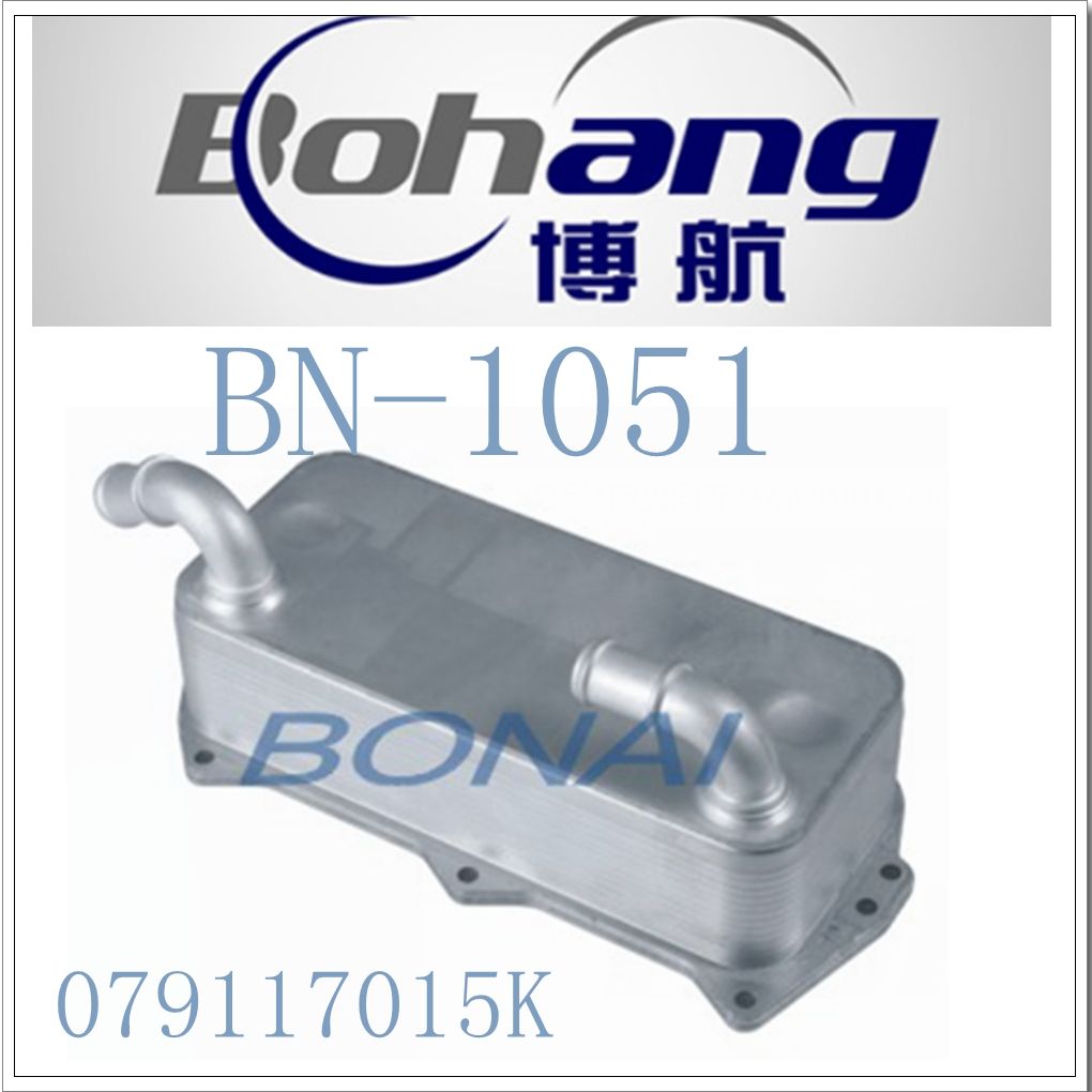Bonai Auto Spare Parts Au Di A4 A6 A7 A8 Oil Cooler (079117015K)