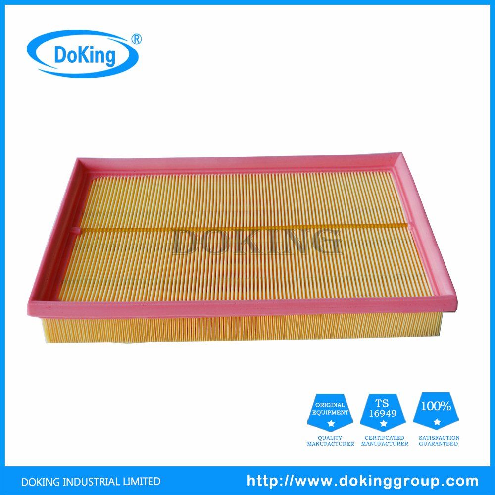 C2998-5X Auto Air Filter for VW with High Quality