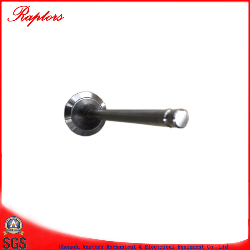 Cummins Bfcec Engine Part Intake Valve (3697413) for Isg