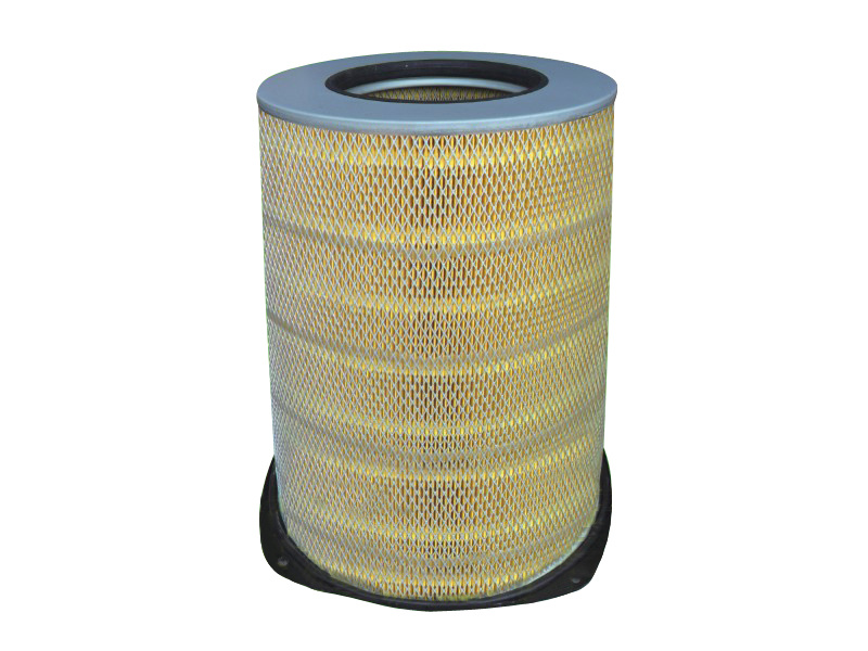 Auto Air Filter for Volvo 1665898