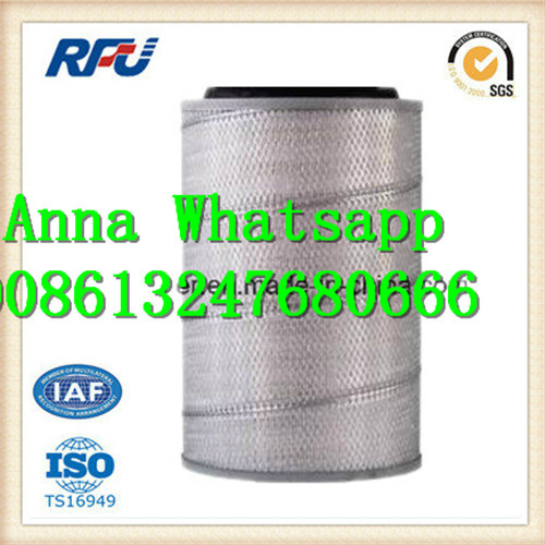 Af25065 High Quality Air Filter for Volvo (AF25065)