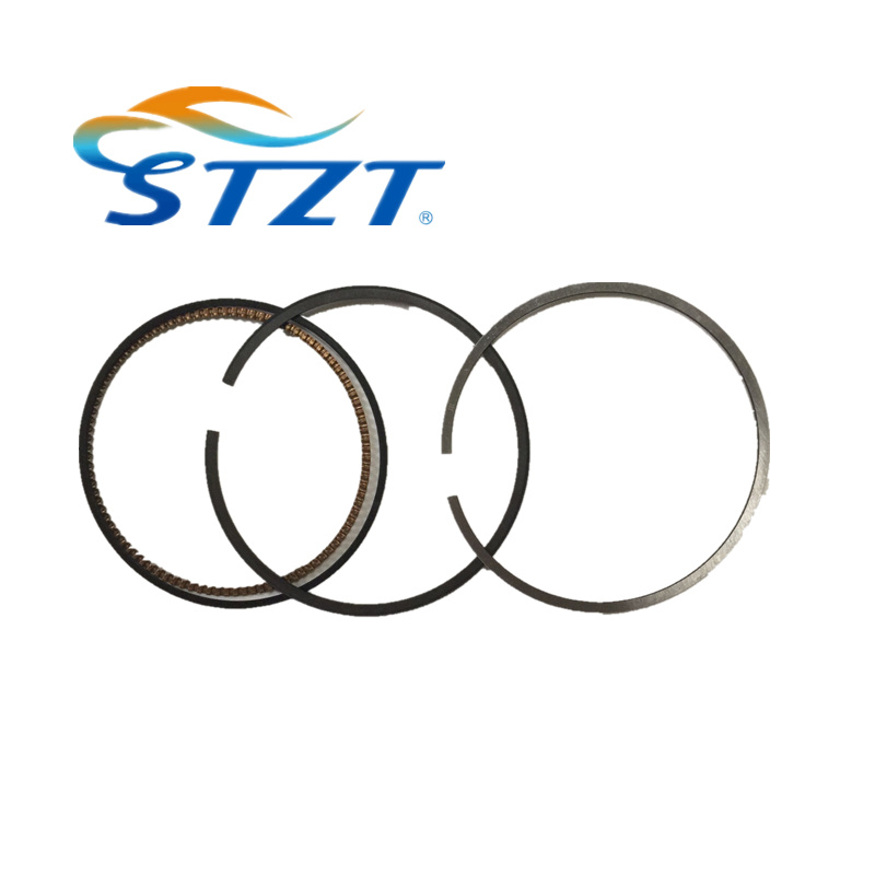 Auto Parts Piston Rings for BMW 1125 7541 469