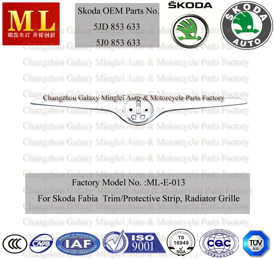 Auto Protective Trim Grille for Skoda Fabia From 2007 (5J0853633)