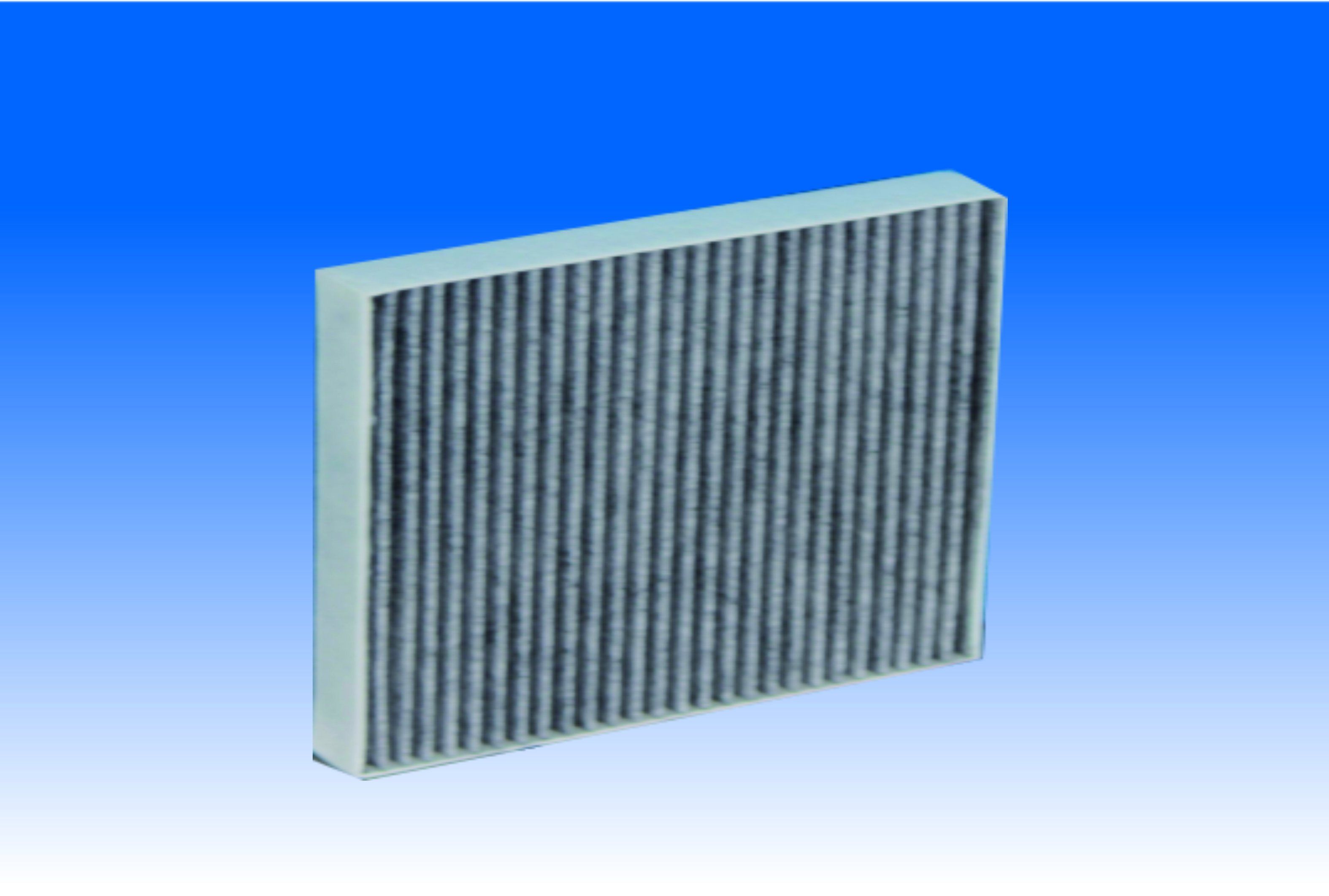 Cabin Filter for Teana of Nissan
