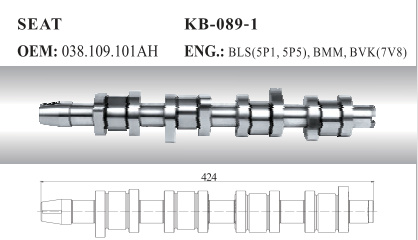 Auto Camshaft for Seat and Skoda (028.109.101ah)
