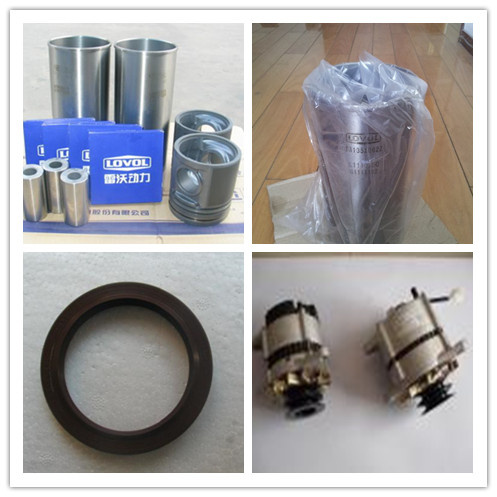 Cylinder Head Assembly, Cyl. Head Bolt of Lovol Engine