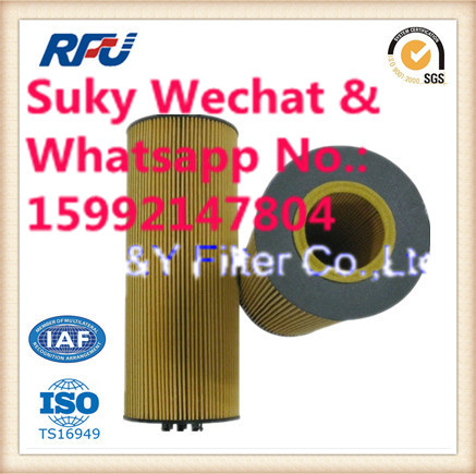 E500HD129 Oil Filter Auto Parts for Benz in Truck (5411800009, E500HD129)